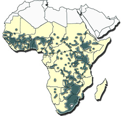 Distribution of Rhipicephalus decoloratus